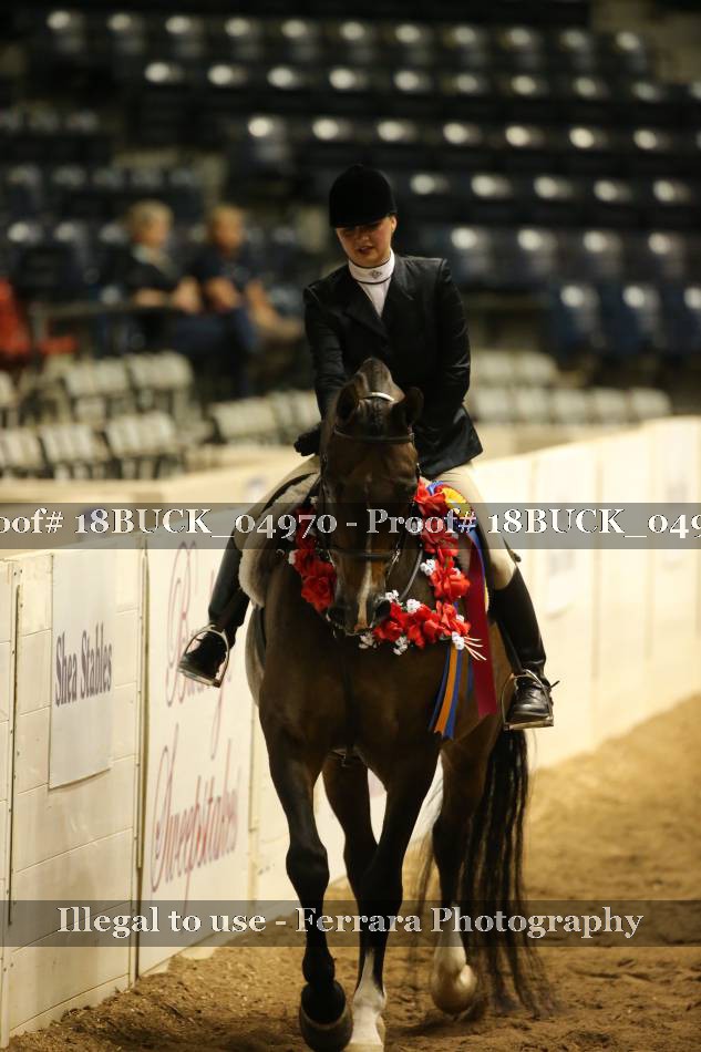 Proof 18BUCK_04970