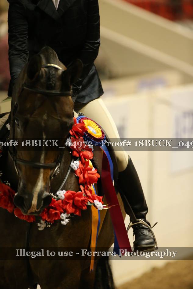 Proof 18BUCK_04972
