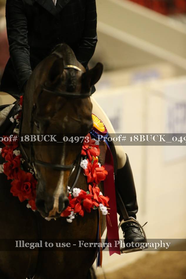 Proof 18BUCK_04973