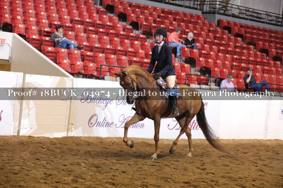 Proof 18BUCK_04974