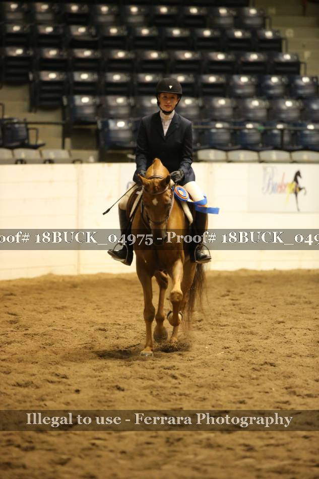 Proof 18BUCK_04975