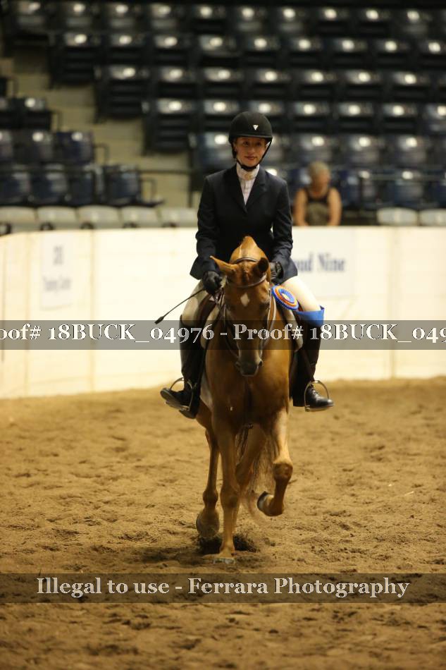 Proof 18BUCK_04976
