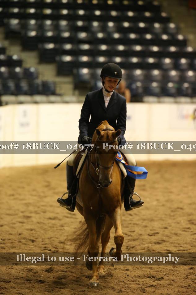 Proof 18BUCK_04977