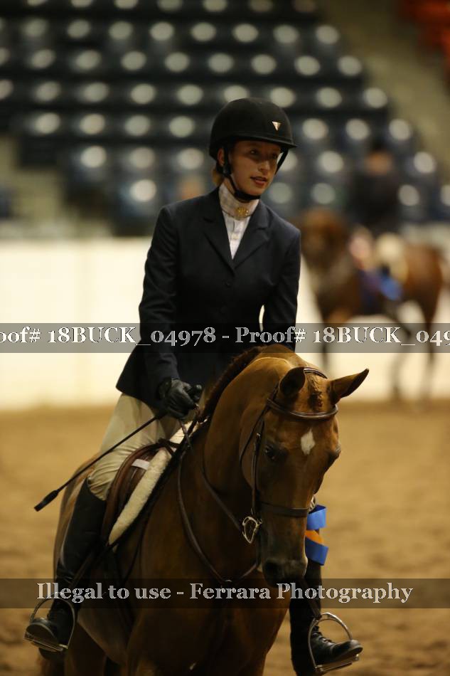 Proof 18BUCK_04978