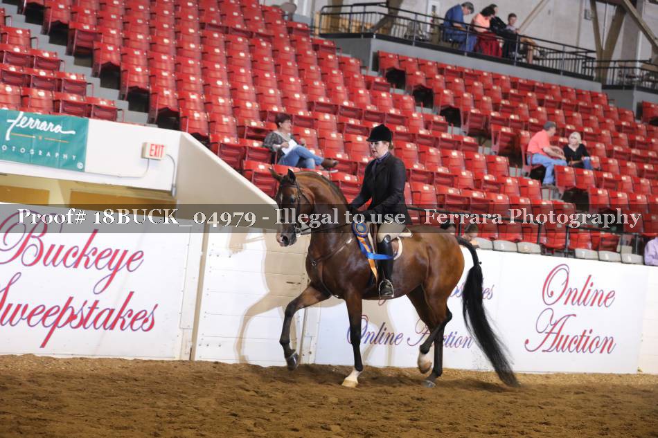 Proof 18BUCK_04979