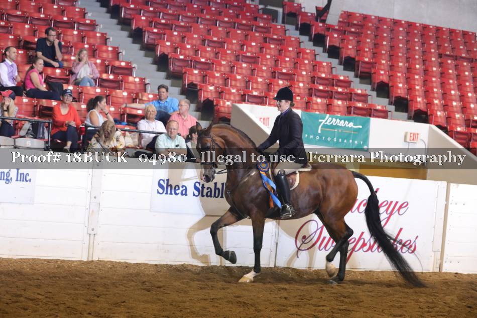 Proof 18BUCK_04980