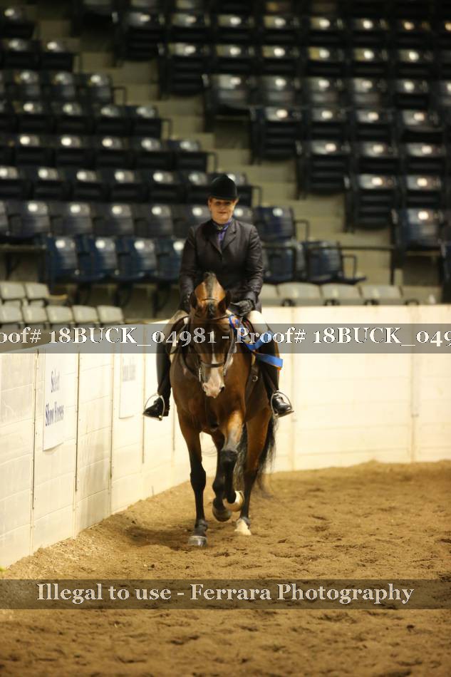 Proof 18BUCK_04981