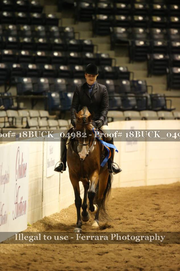 Proof 18BUCK_04982