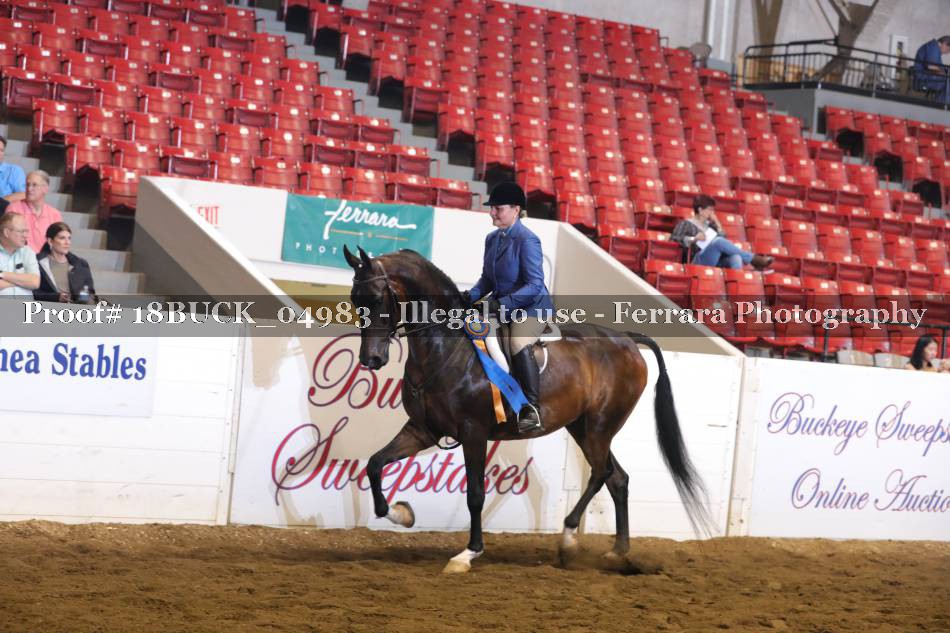 Proof 18BUCK_04983