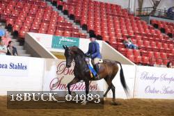 18BUCK_04983 proof