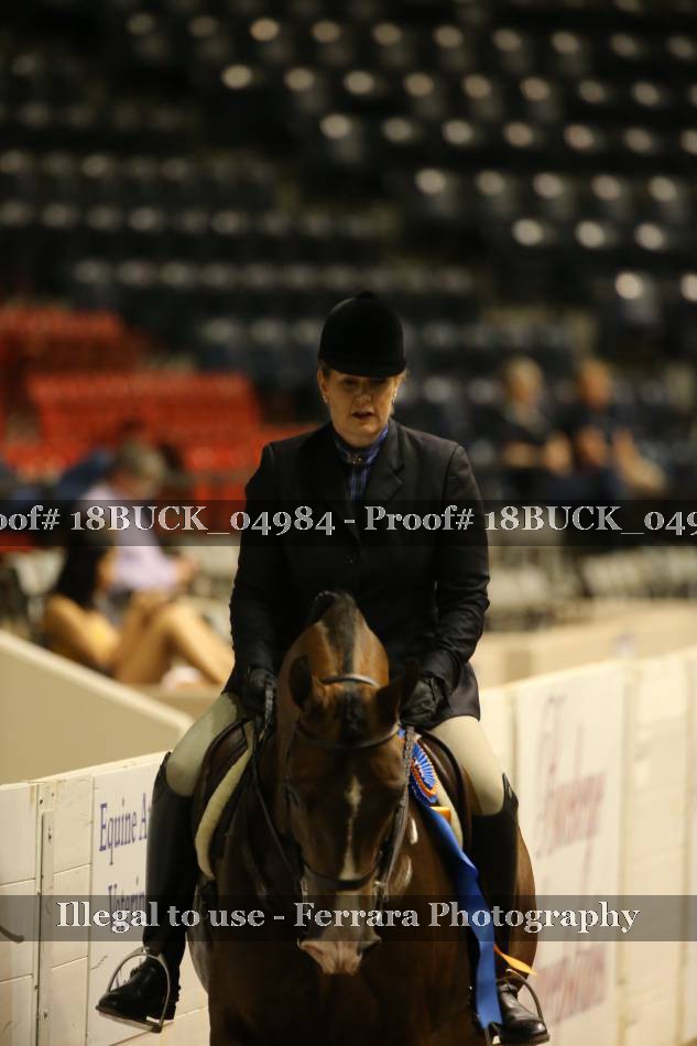Proof 18BUCK_04984
