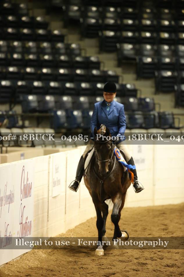 Proof 18BUCK_04985