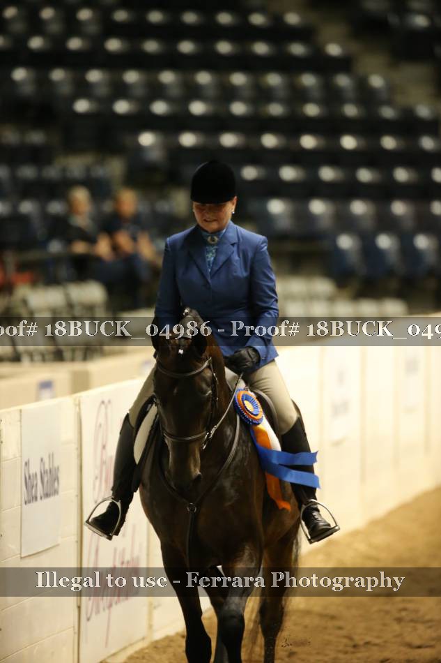 Proof 18BUCK_04986