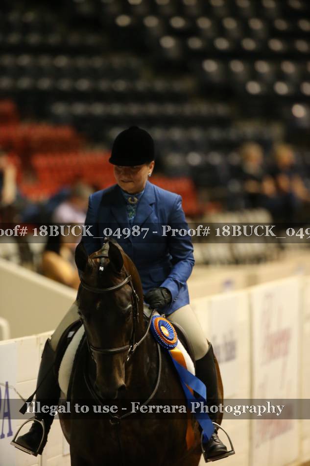 Proof 18BUCK_04987