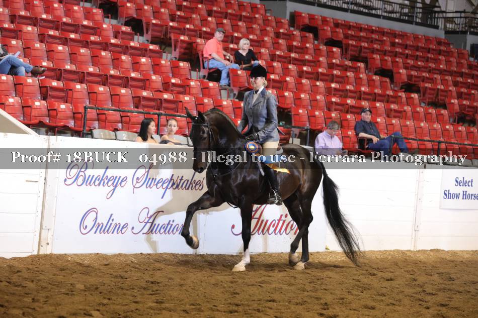 Proof 18BUCK_04988