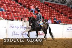 18BUCK_04988 proof