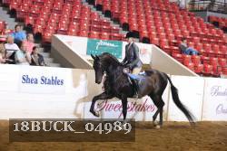 18BUCK_04989 proof
