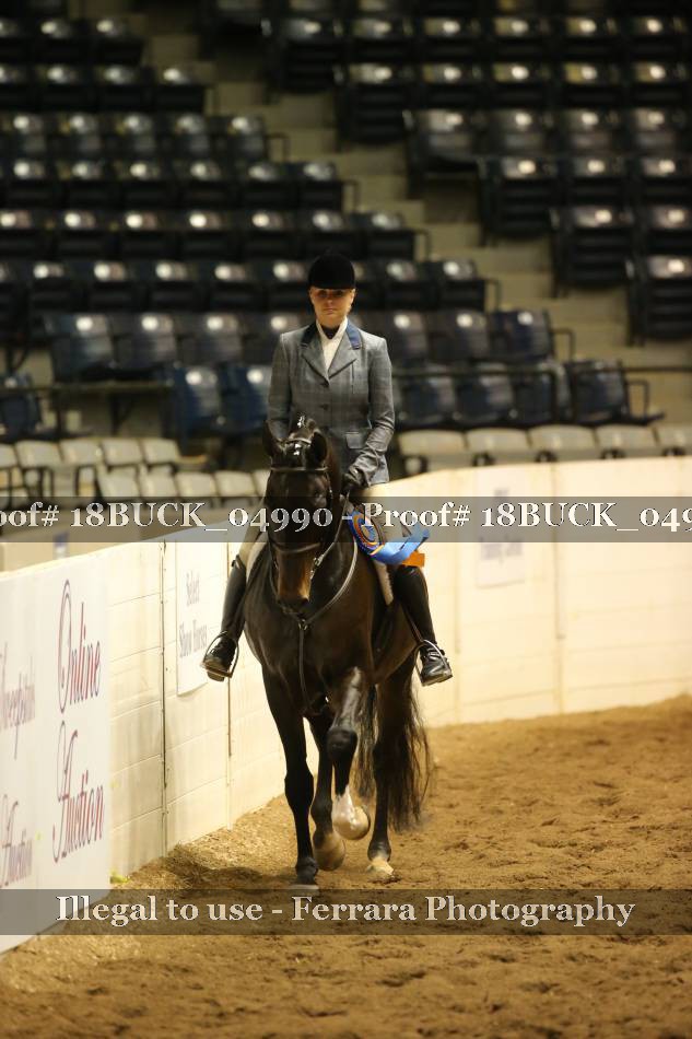 Proof 18BUCK_04990