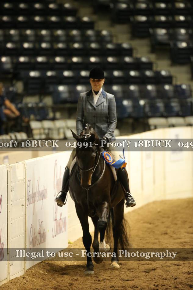 Proof 18BUCK_04991