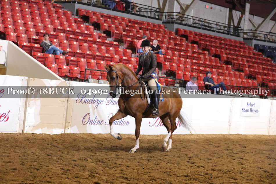 Proof 18BUCK_04992