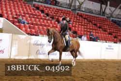 18BUCK_04992 proof