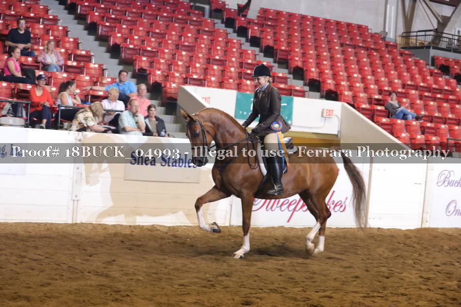 Proof 18BUCK_04993