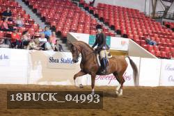 18BUCK_04993 proof