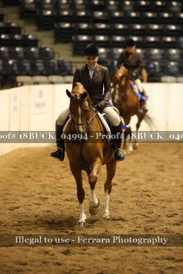 Proof 18BUCK_04994