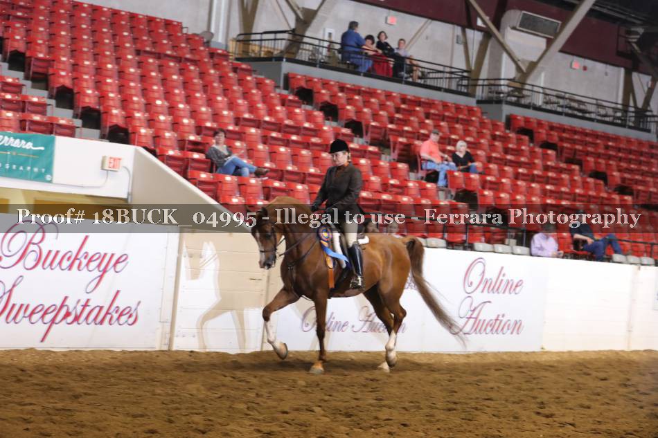 Proof 18BUCK_04995