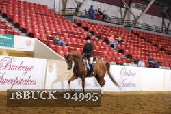 18BUCK_04995 proof