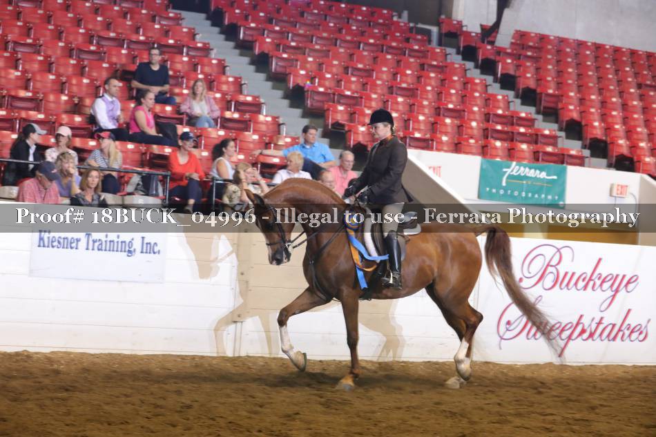 Proof 18BUCK_04996