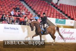 18BUCK_04996 proof