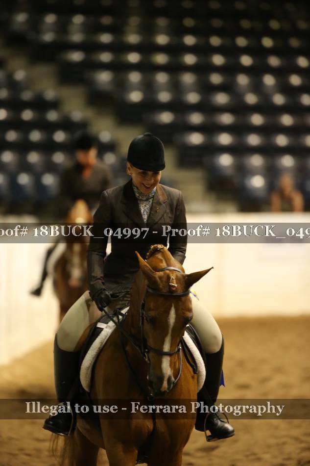 Proof 18BUCK_04997
