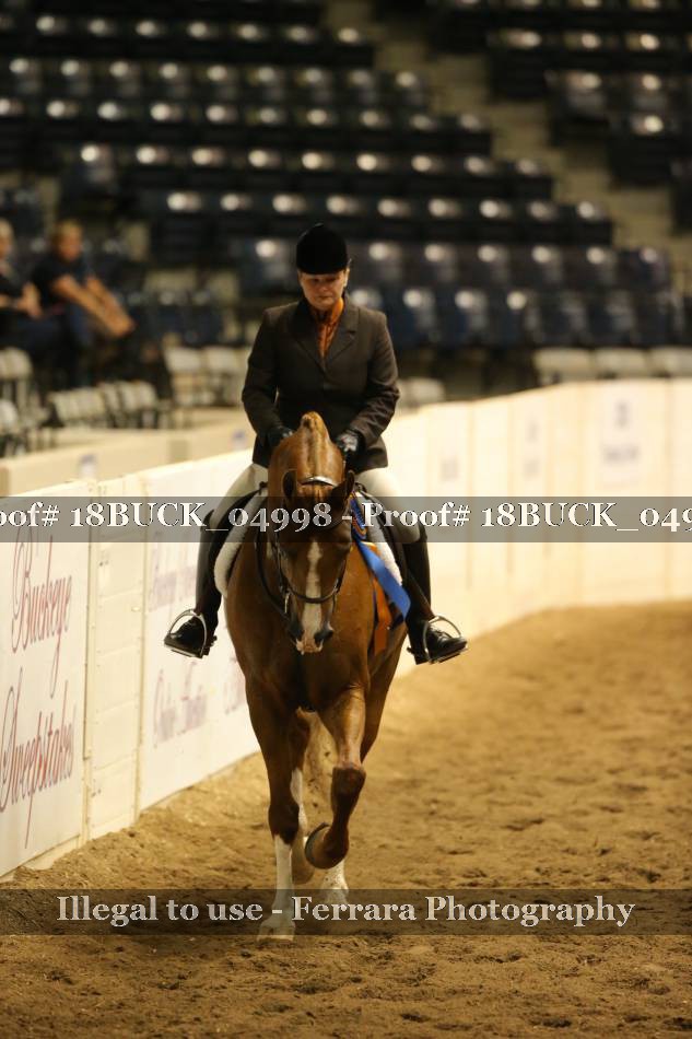 Proof 18BUCK_04998