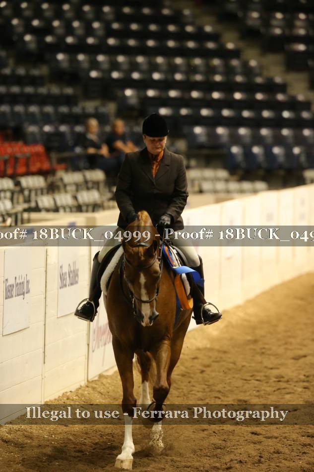 Proof 18BUCK_04999