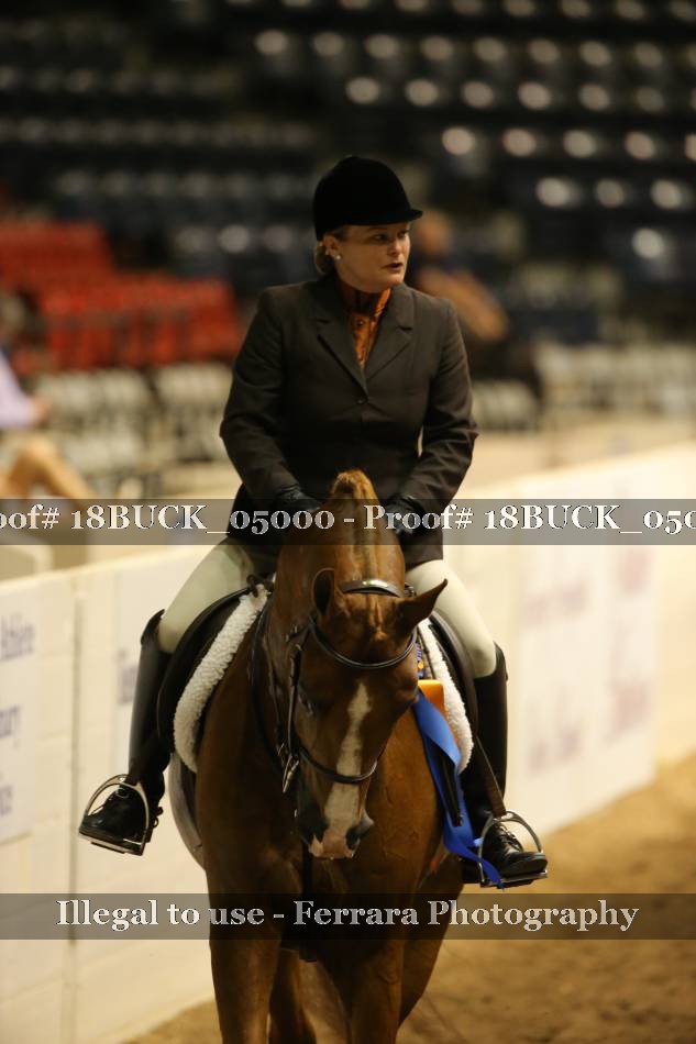 Proof 18BUCK_05000