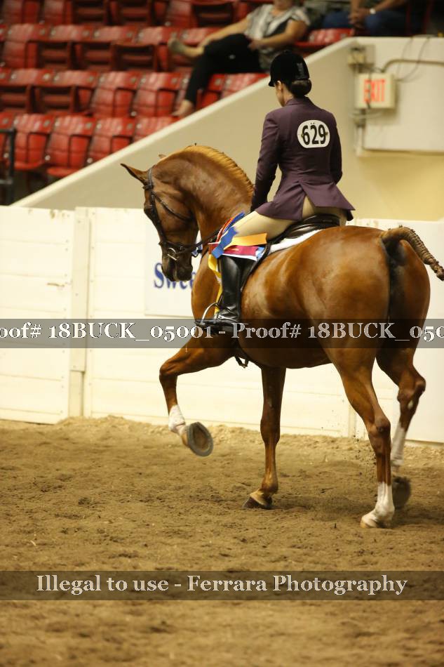 Proof 18BUCK_05001