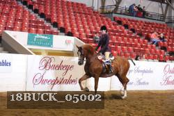 18BUCK_05002 proof