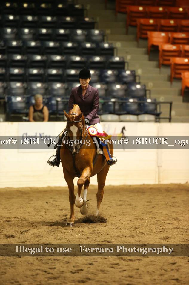 Proof 18BUCK_05003