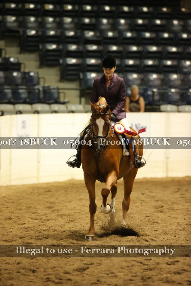 Proof 18BUCK_05004