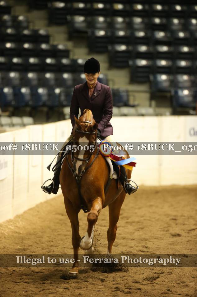 Proof 18BUCK_05005