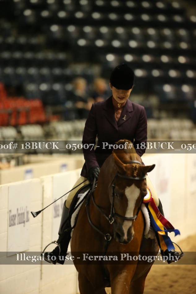Proof 18BUCK_05007