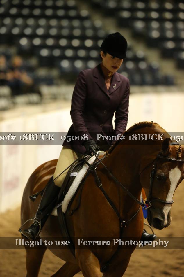Proof 18BUCK_05008