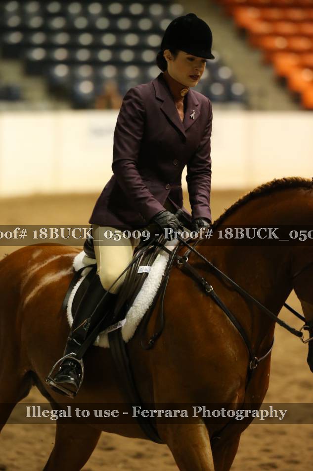Proof 18BUCK_05009