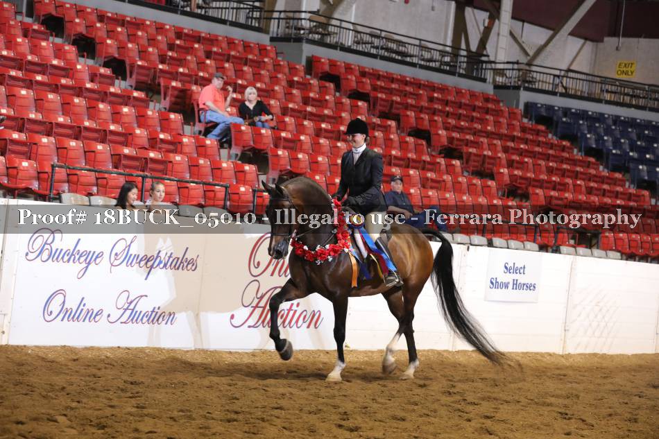 Proof 18BUCK_05010