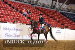 18BUCK_05010 proof