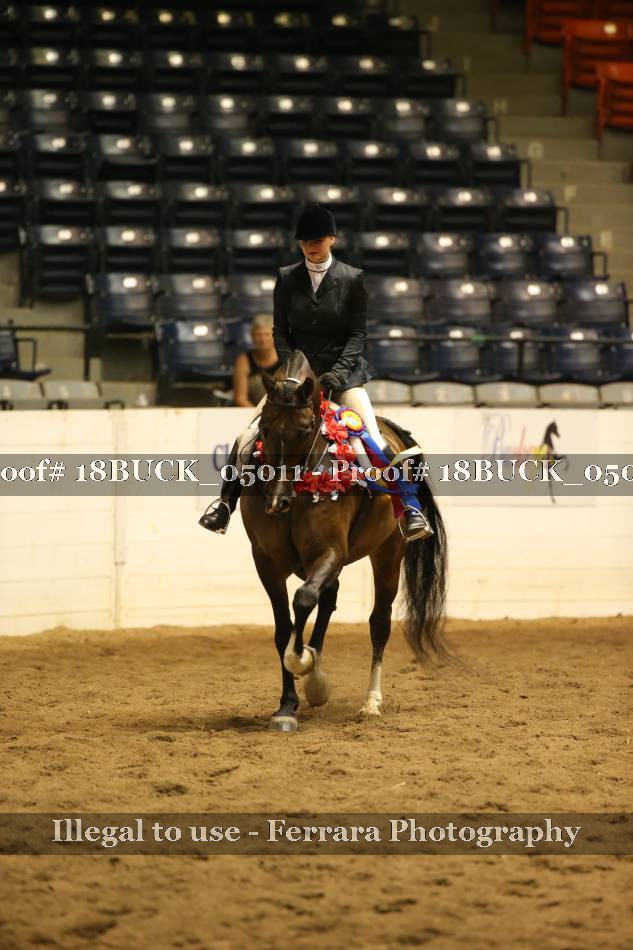 Proof 18BUCK_05011
