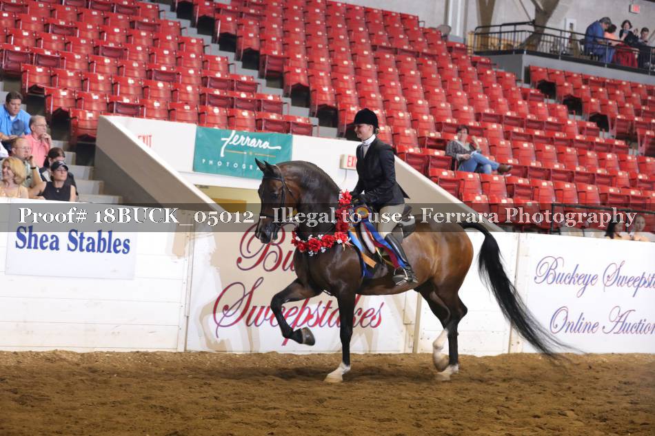 Proof 18BUCK_05012