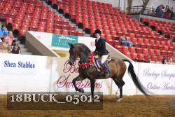 18BUCK_05012 proof