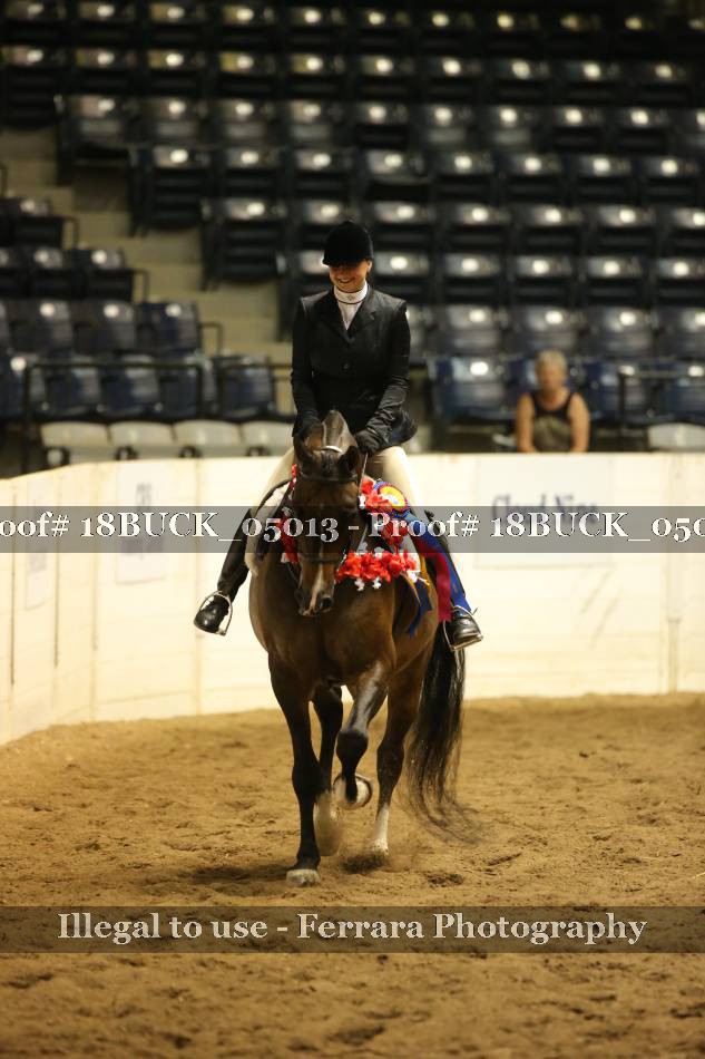 Proof 18BUCK_05013